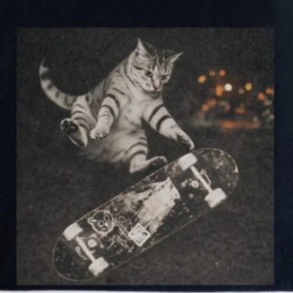 Retro Skater Kitten Graphic Tee, Funny Skate Punk Cat Shirt - Picture 2 of 4